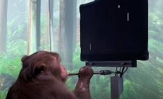 Neuralink Маска показал ролик с играющей в видеоигры чипированной обезьяной